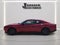 2024 Dodge Charger Daytona R/T