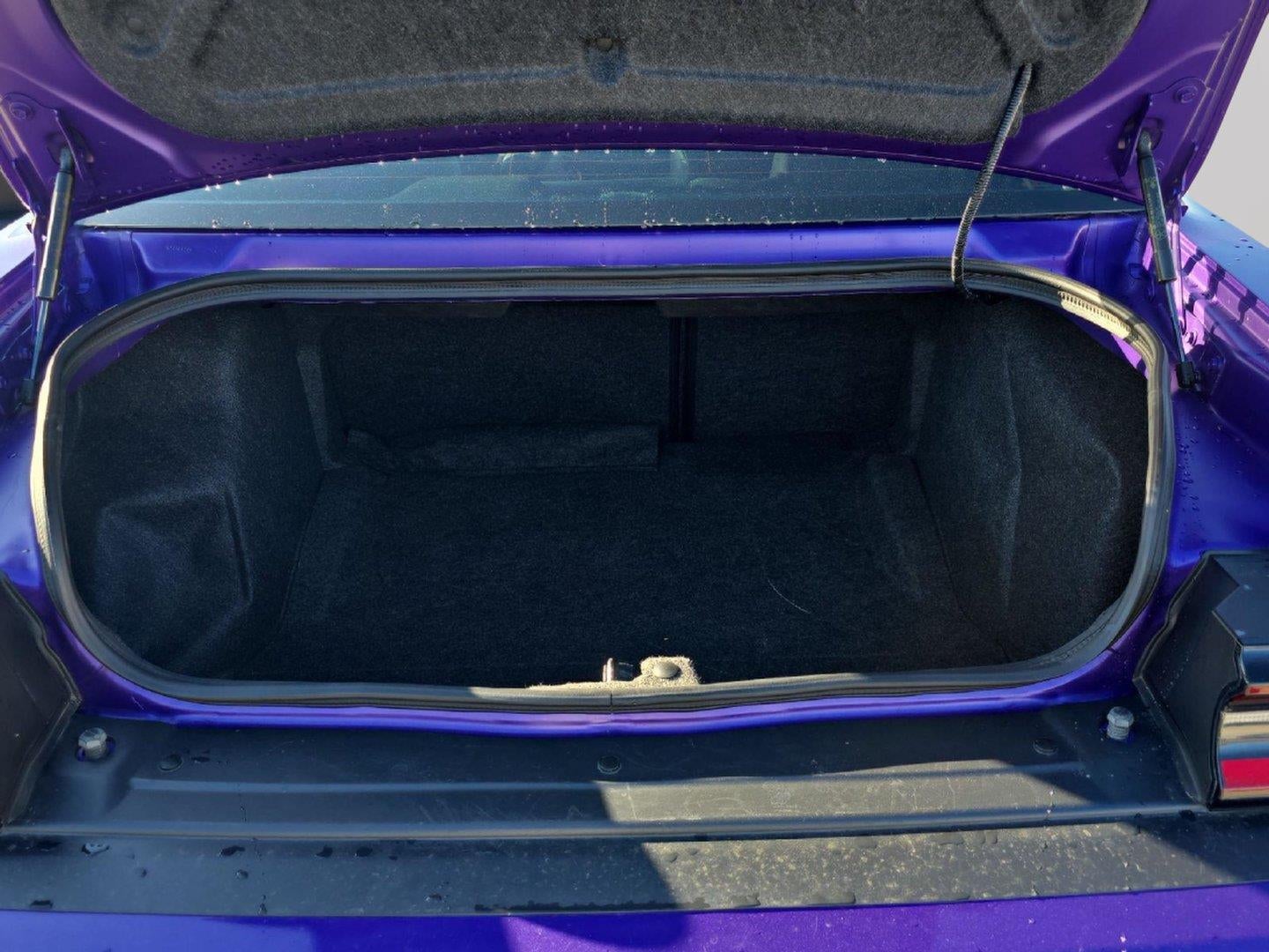 2019 Dodge Challenger R/T